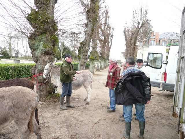 carnval 17 mars 2013 (12).jpg
